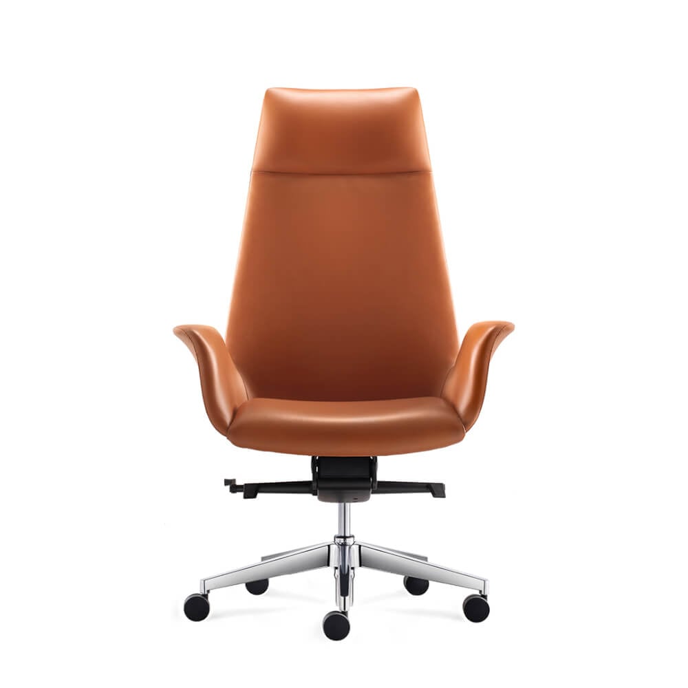 เก้าอี้ผู้บริหารหนังแท้ DF PROCHAIR รุ่น Rise Chair สีน้ำตาล